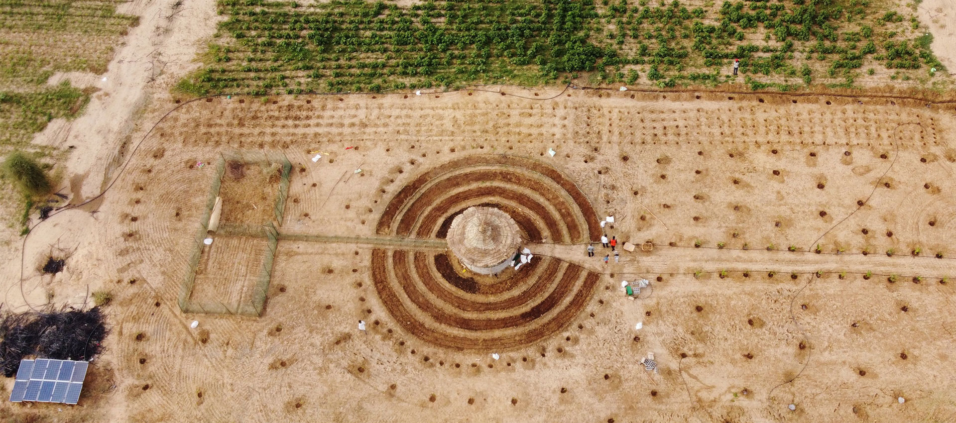 Five Ways the Great Green Wall is Helping to Reforest the Sahel Region